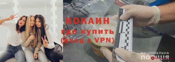 шишки Верея