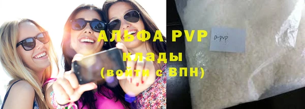 стафф Бородино