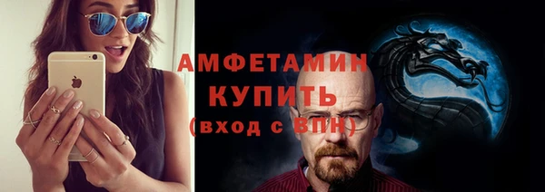 шишки Верея