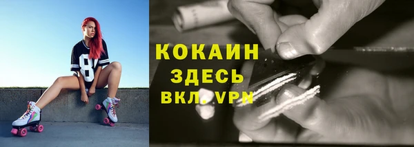 шишки Верея