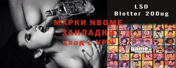 шишки Верея