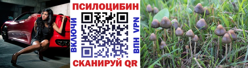 ссылка на мегу ONION  Мончегорск  Псилоцибиновые грибы Magic Shrooms 