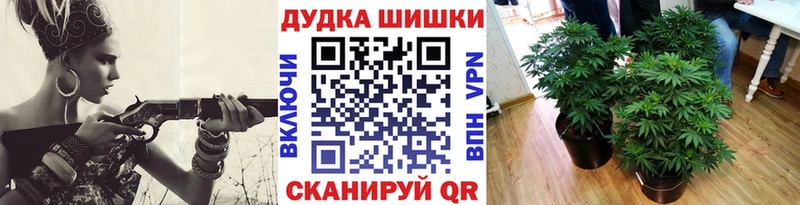 Конопля гибрид Мончегорск